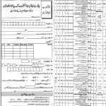 childern hospital multan nurses job.jpg